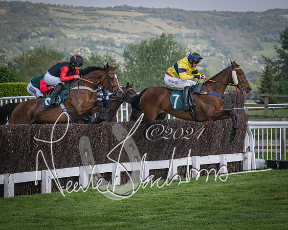 Race 2 - The Venatour sports travel intermediate point to point hunters’ steeplechase 5 year olds and over 3m2f (43 of 163)