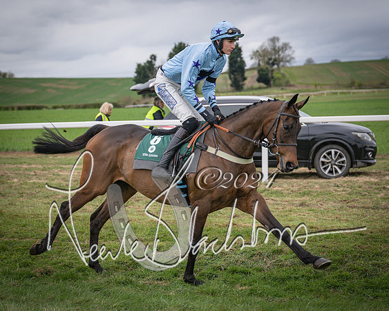 Race 6 - The Restricted Race (9 of 101)