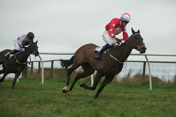 Race 8 - Pony Race 2 -  18