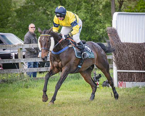 Race 6 - The sir James Shuckburgh Restricted race (53 of 85)