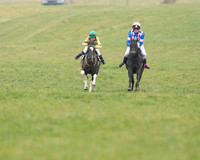 WP1_5127.jpg