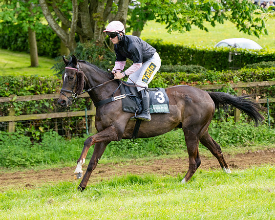 Race 5  - Novice riders (50 of 188)