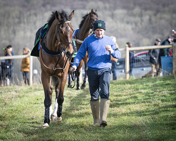 Race 1 - Four and Five year Old Maiden (6 of 137)