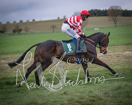 Race 6 - The Restricted Race (26 of 101)