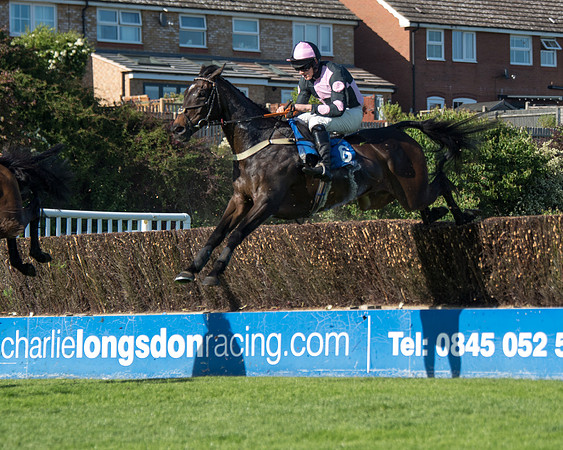 Race 1 - PPSA Open Hunter chase (36 of 78)