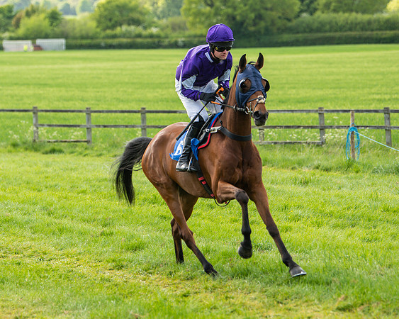Race 6 - Maiden [2m4f] (19 of 135)