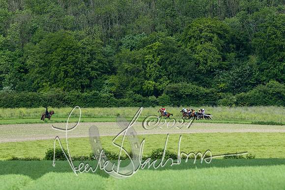 Race 5 - Restricted Race (236 of 434)