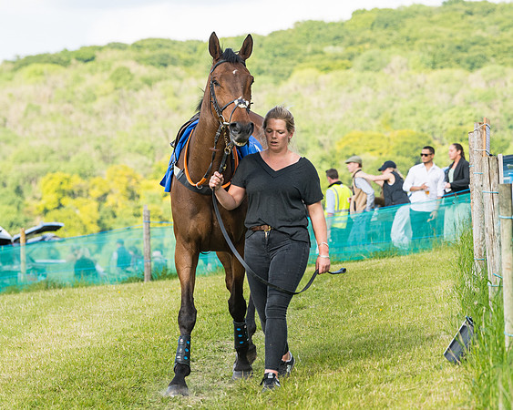 Race 6 - Open Maiden (14 of 227)