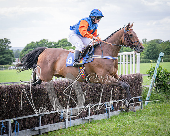 Race 4 - The Dickie Lim Mixed Open Race (60 of 101)