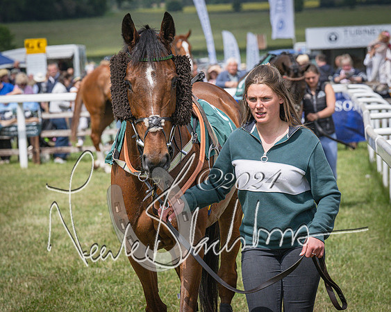Race 1 - the Grafton adjacent hunts conditions race (level 2) (23 of 120)