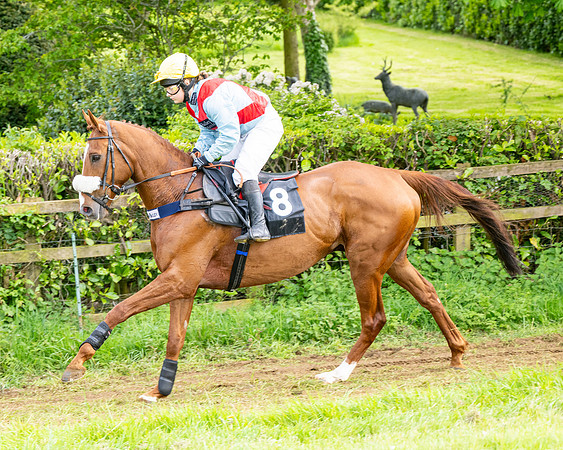 Race 5  - Novice riders (17 of 188)