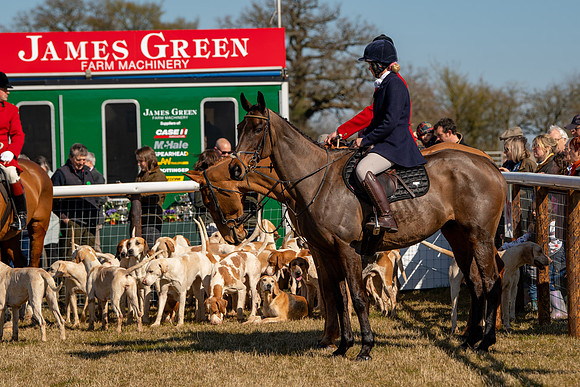 Hunt Horses annd Hound parade (17 of 44)