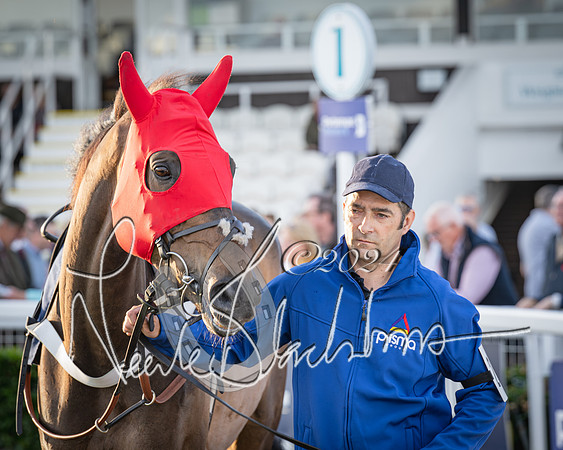 Race 5 - tipsterreviews.co.uk handicap (7 of 107)