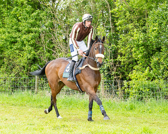 Race 2 - 2M4F Conditions (33 of 195)