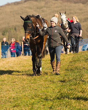 Race 1 Div 2 - 2M4F Maiden (9 of 113).jpg