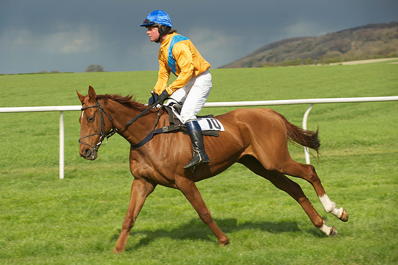 Novice Riders 7