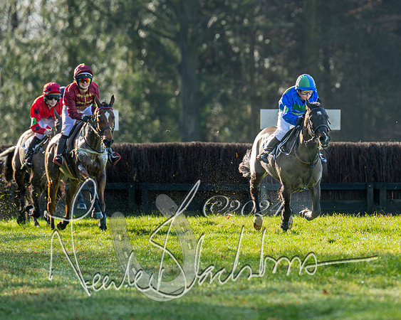 Pony Races (7 of 89)