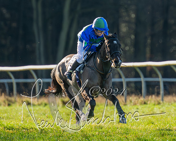 Pony Races (10 of 89)