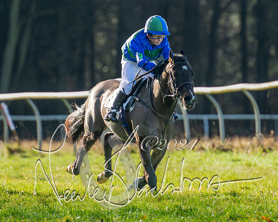 Pony Races (12 of 89)