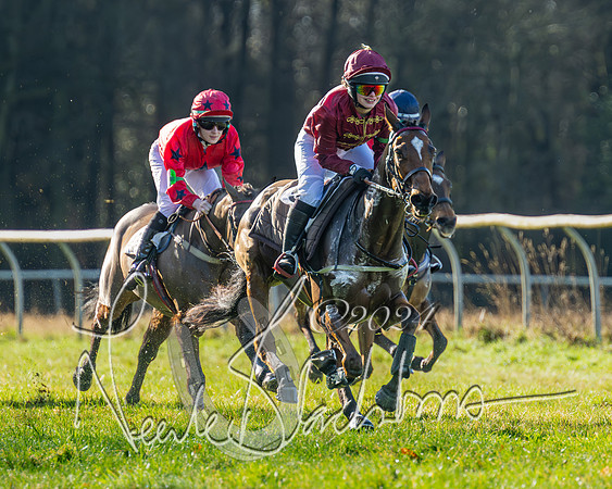 Pony Races (13 of 89)