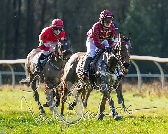Pony Races (15 of 89)