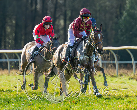 Pony Races (14 of 89)
