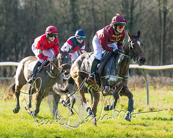 Pony Races (17 of 89)
