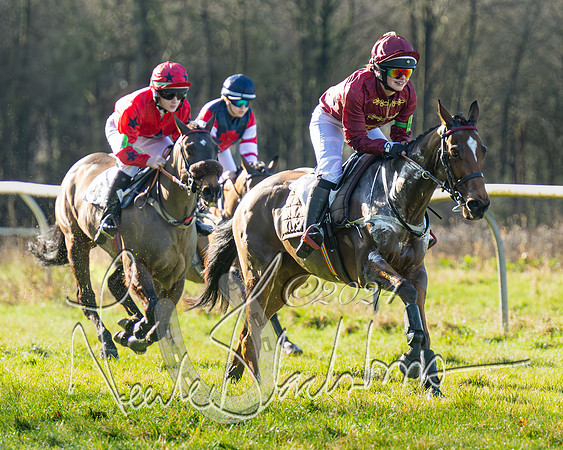 Pony Races (18 of 89)