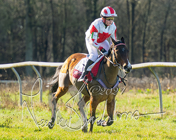 Pony Races (20 of 89)