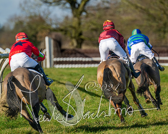 Pony Races (31 of 89)