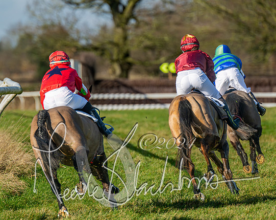 Pony Races (32 of 89)