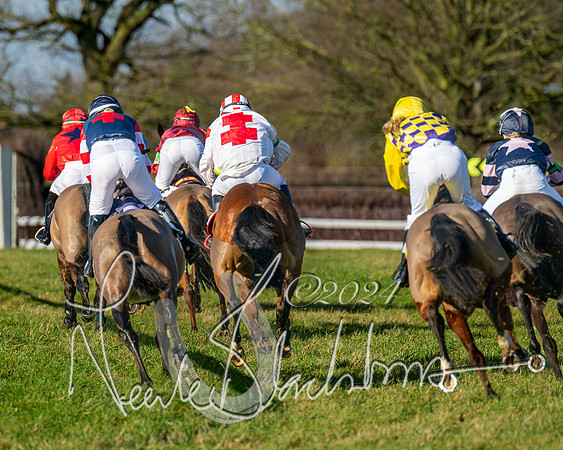 Pony Races (34 of 89)