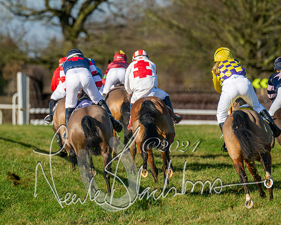 Pony Races (33 of 89)
