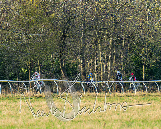 Pony Races (46 of 89)