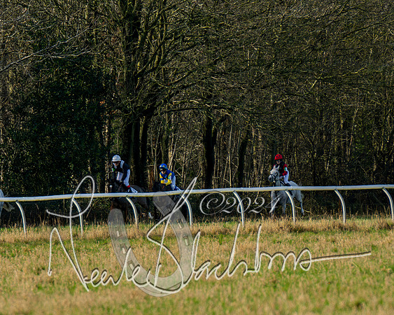 Pony Races (49 of 89)
