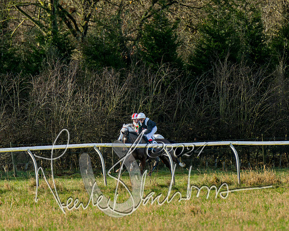 Pony Races (50 of 89)