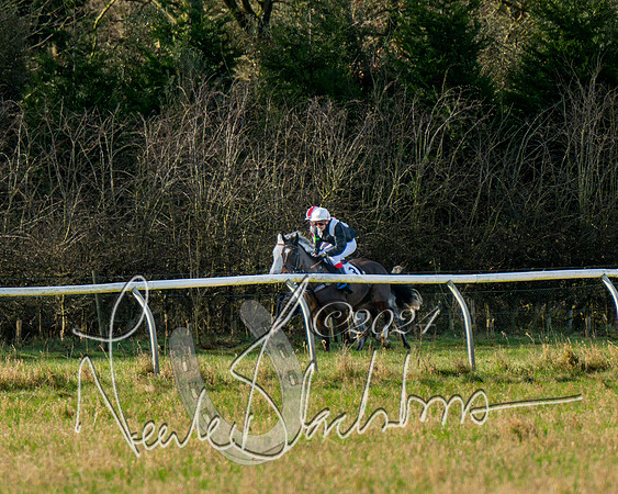 Pony Races (51 of 89)