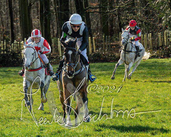 Pony Races (67 of 89)