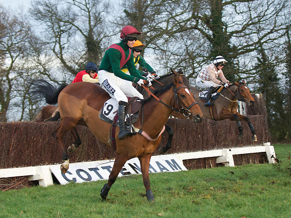 CHHC - Young Horse Maiden Division 2