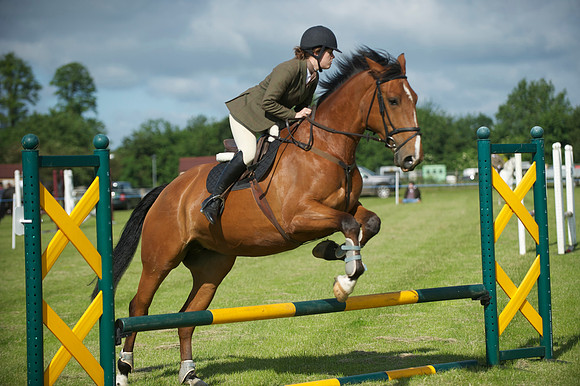 SOHS PC Summer Show at BCA 17th June 2012