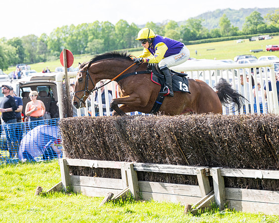 Race 4 -  2M4F Conditions  (85 of 102)