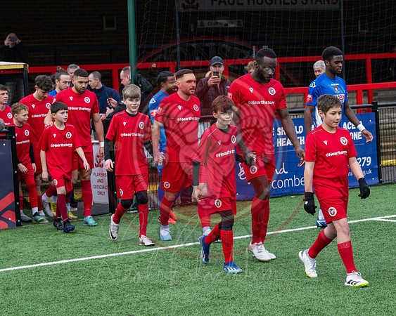 Mascots (25 of 107)