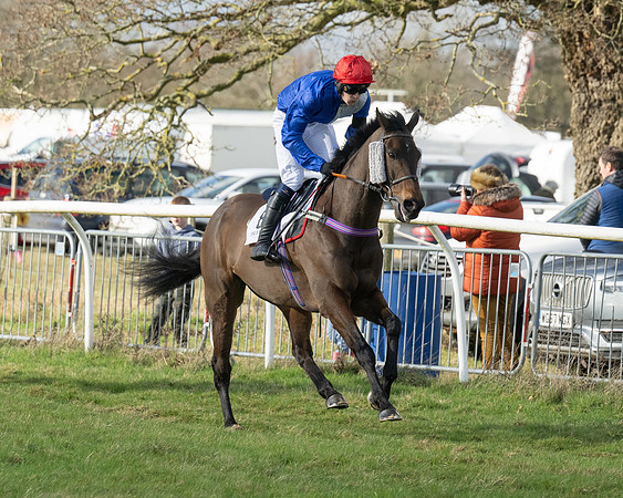 Race 2 -Conditions race (14 of 104)