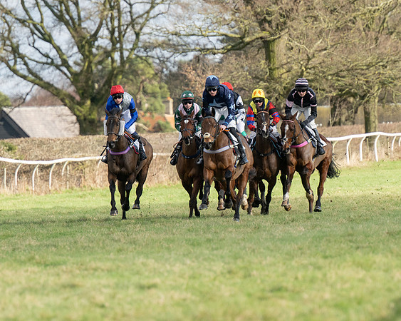 Race 2 -Conditions race (37 of 104)