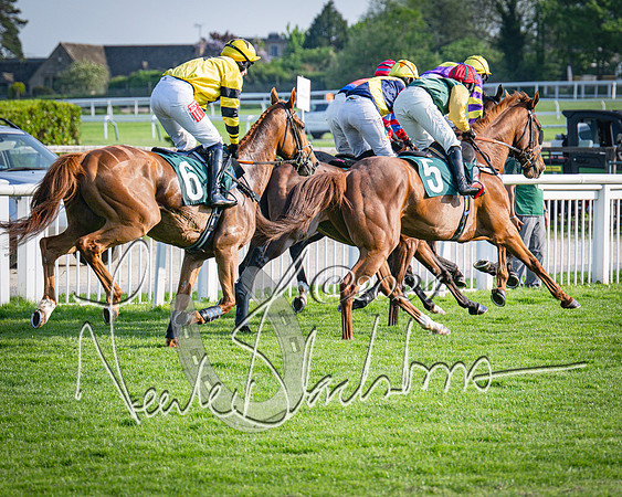 Race 3 - The Junior Jumpers open hunter's steeple chase 3m1f56y (56 of 156)