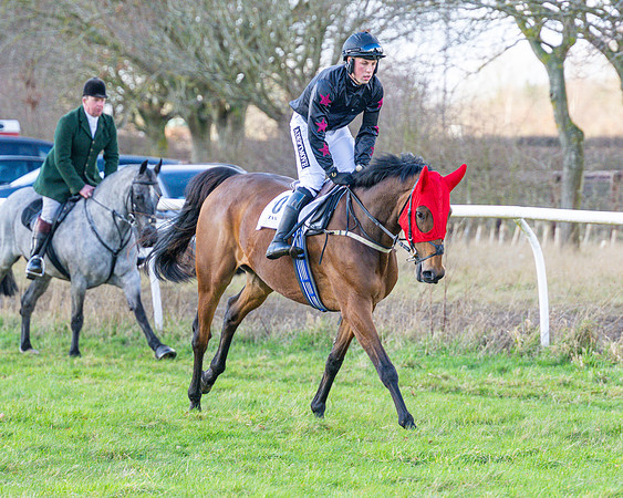 Race 4 - PPORA Novice Riders  (5 of 114)