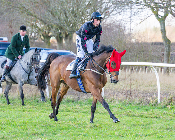 Race 4 - PPORA Novice Riders  (4 of 114)