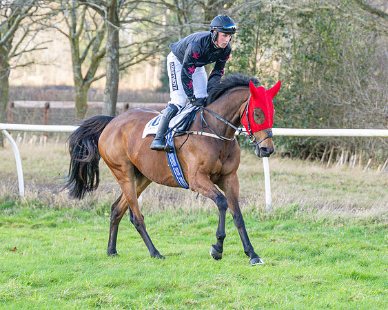 Race 4 - PPORA Novice Riders  (6 of 114)