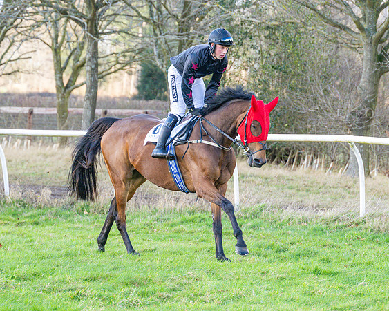 Race 4 - PPORA Novice Riders  (7 of 114)