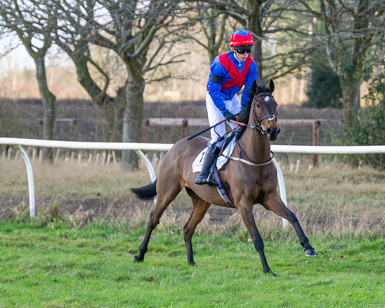 Race 4 - PPORA Novice Riders  (9 of 114)
